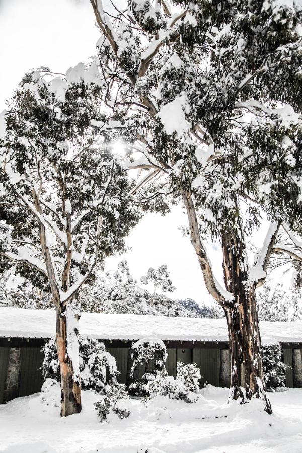 Ski Rider Hotel Perisher Valley Kültér fotó